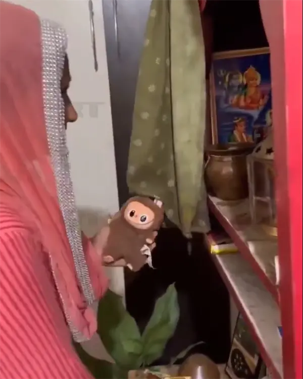 印度女子誤將Labubu當神明供奉 網友調侃:Labubu正式封神了 印度女子誤將Labubu當神明供奉 網友調侃:Labubu正式封神了!