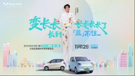 置換補(bǔ)貼價(jià)5.28萬元 五菱推出宏光MINIEV四門版301km臻享+款