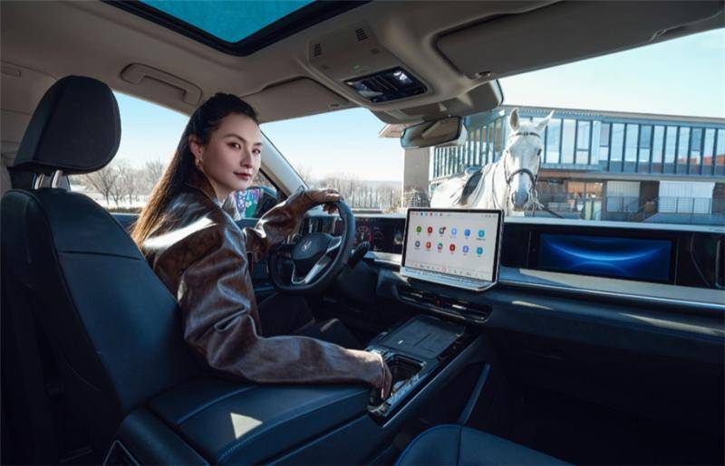 25萬買硬核大五座SUV:選攬巡,還是理想L6?